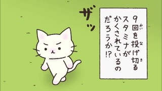 猫ピッチャー 動画 読売新聞オンライン 猫ピッチャー 動画 読売新聞オンライン