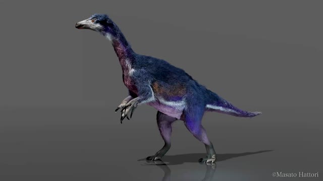 恐竜の化石 テリジノサウルス科の新種と判明…北海道・中川町 : 読売新聞