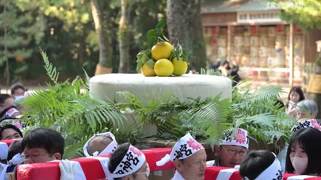 450キロの大鏡餅、五穀豊穣願い奉納…名古屋・熱田神宮 : 読売新聞