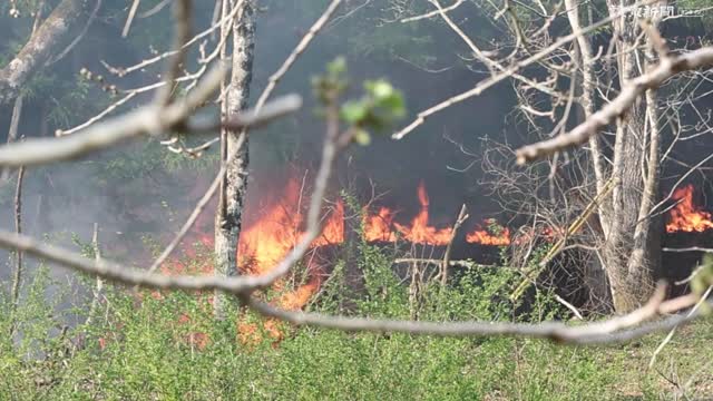 【#動画】岩手・大槌の山林火災、一夜明け延焼続く
  
#ニュース動画 #山林火災
