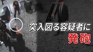 写真・画像