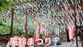 写真・画像