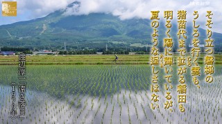 旅を旅して : 読売新聞