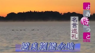 名言巡礼 伊坂幸太郎 重力ピエロ から 宮城県仙台市 名言巡礼 アーカイブ 動画 読売新聞オンライン