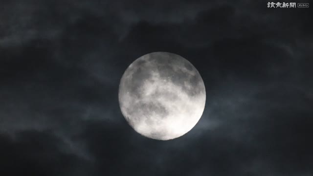 大覚寺で「観月の夕べ」、風情を楽しむ