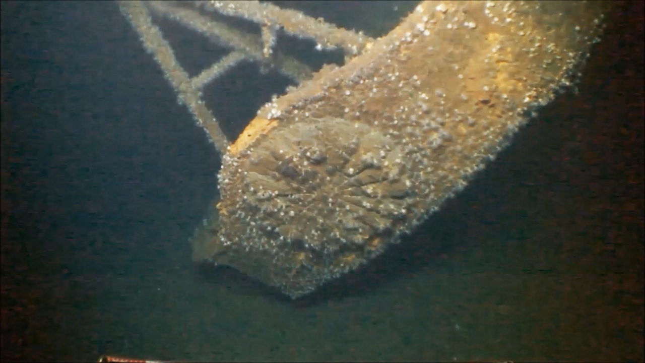 戦艦大和の菊花紋章、スクリュー写真を公開…広島・呉 : 読売新聞